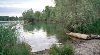 Am Honauer Baggersee sollen noch weitere Flachwasserzonen angelegt werden.