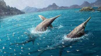 Diese künstlerische Darstellung zeigt ein Paar schwimmender Ichthyotitan severnensis.