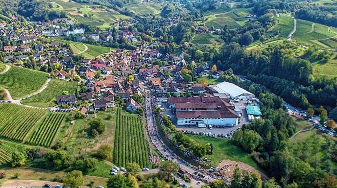 Das Sasbachwaldener Erntedank- und Weinfest lockte allein am Sonntag mit dem Festumzug – hier eine Luftaufnahme – 15 000 bis 20 000 Gäste und brach so alle Rekorde. 